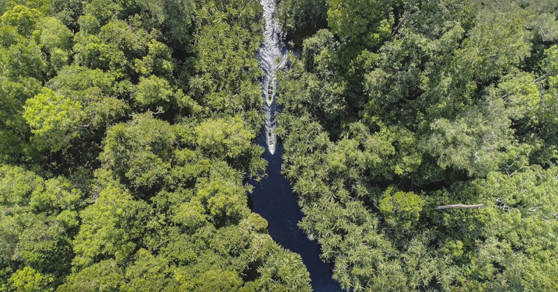 For the past 10 years, collaboration has been the key to unlocking ecosystem restoration in this location, through partnerships with government, scientific experts, and communities. Looking to the future, collaboration will continue to underpin RER approaches and provide a model for sustainable development on a global scale.