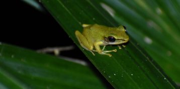 International Day for Biological Diversity: Building Harmony Through Collaboration at RER