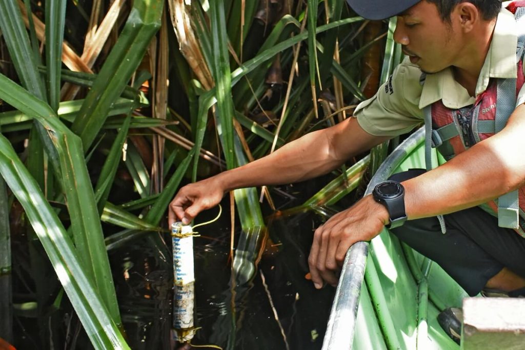 Water is essential for peat formation – without it, peat cannot accumulate. Understanding and managing peat water is therefore central to RER’s forest protection strategy.