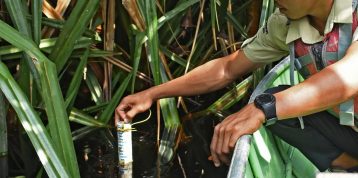 Pentingnya Memantau Air Gambut dalam Upaya Perlindungan Hutan RER