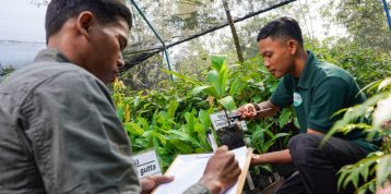 Pemantauan Vegetasi: Kunci Keberhasilan dalam Restorasi Hutan dan Lahan Gambut