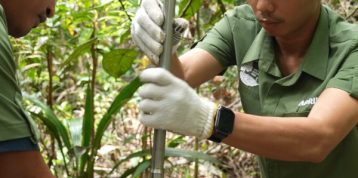 Why Measuring Peat Depth Matters for Climate, Water, and Forest Health